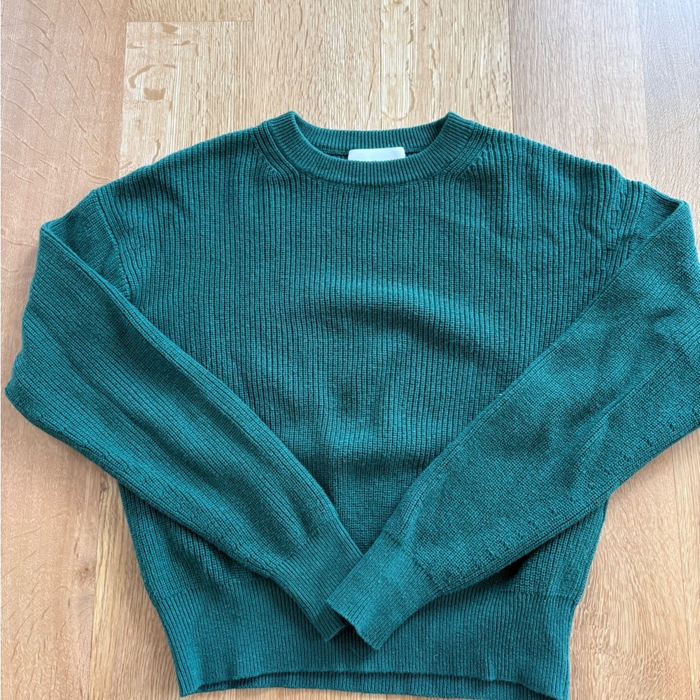 Wilfred Green Sweater